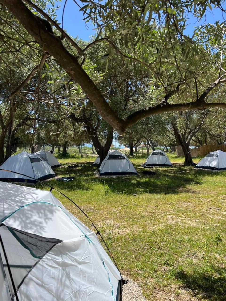 Borsh Olive Camping Hotel Buitenkant foto
