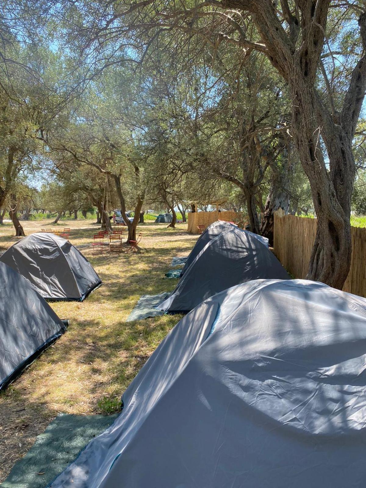 Borsh Olive Camping Hotel Buitenkant foto